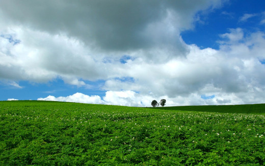 452897 (a): :1440x900